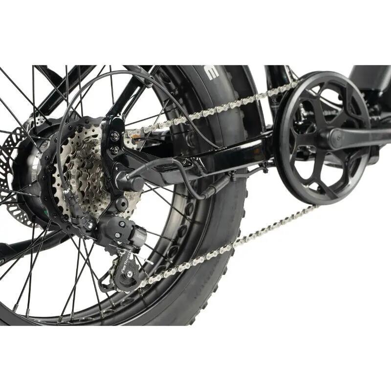 Biciclette elettriche per bambini Leader Fox Fat Bike 20 Cody 2024 4/6