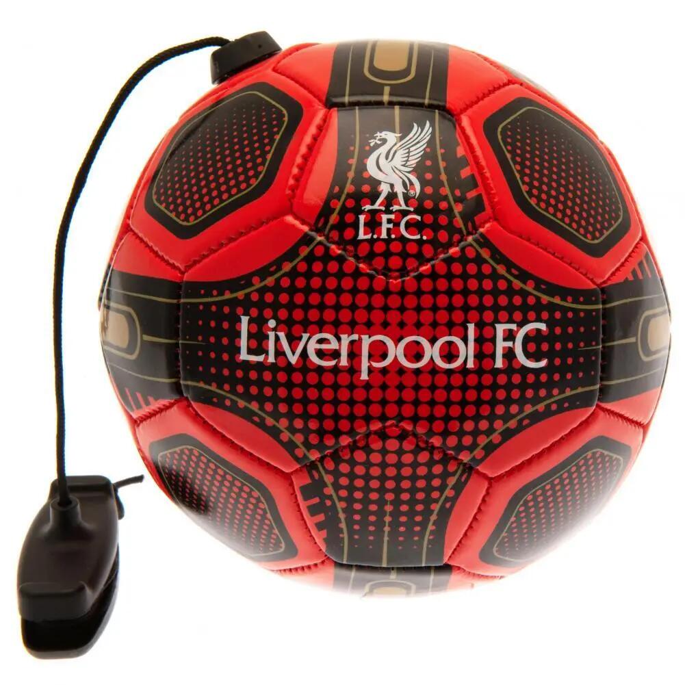 Ball mit elastischer Kordel und Handstütze Team Merchandise Skills Trainer 2/3