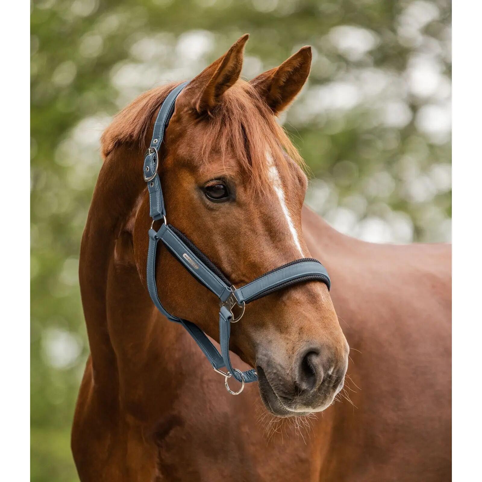 Licol pour Poney Waldhausen Breath 2/2