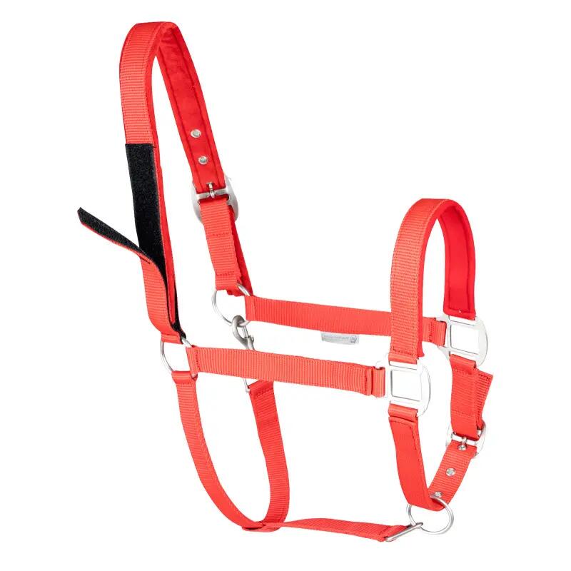 Licol pour cheval en sécurité Waldhausen 2/3