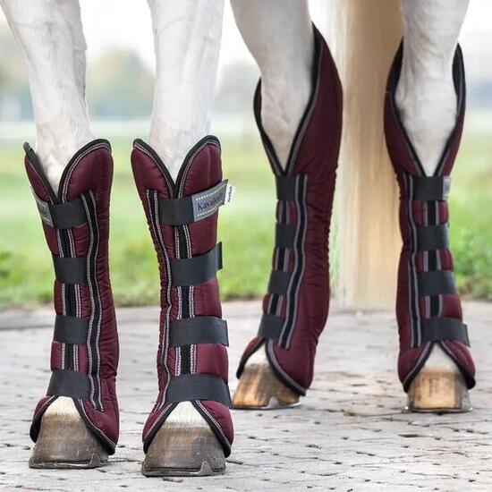 Buty transportowe dla koni Kavalkade (x4)