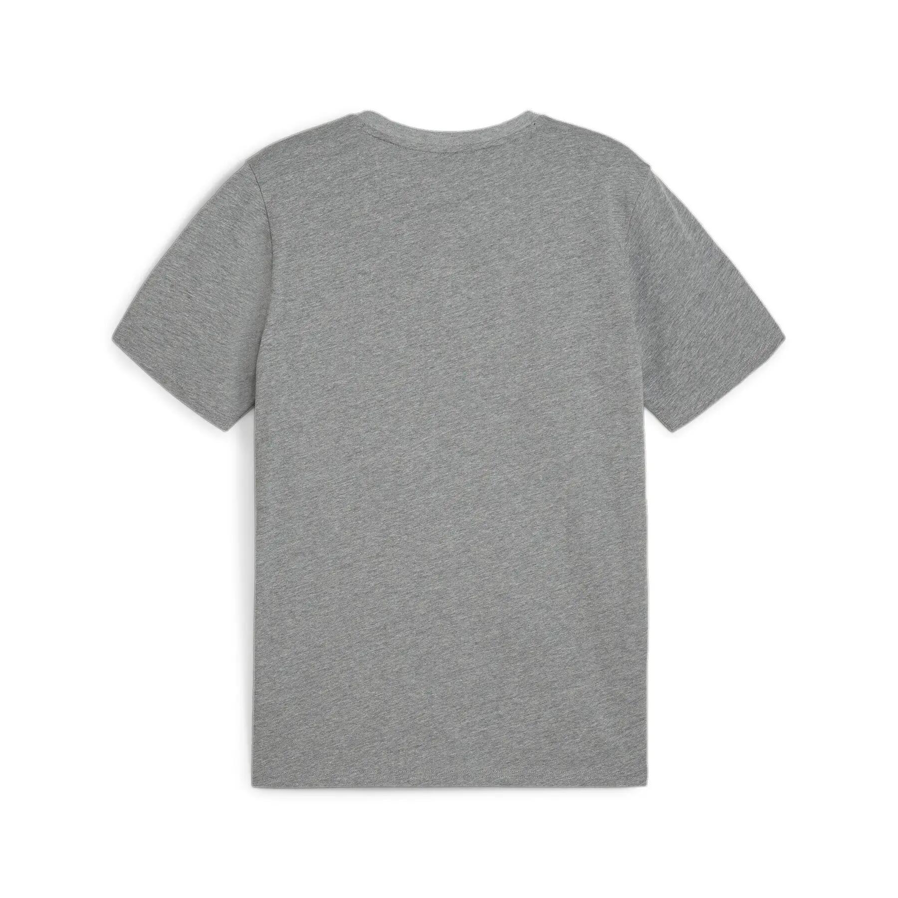 Polo Puma Teamgoal Casuals 2/2