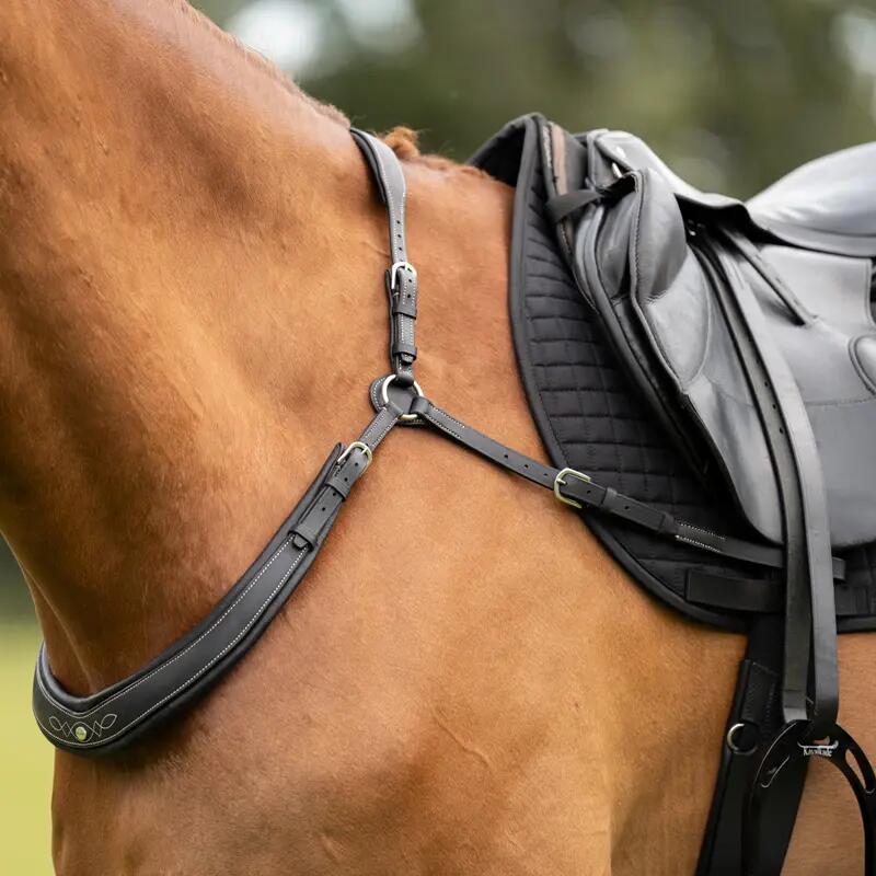 Collar de caza para caballos Kavalkade Jerome 2-PT 5/5