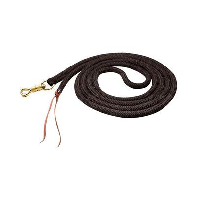 Lunghina cavallo Waldhausen