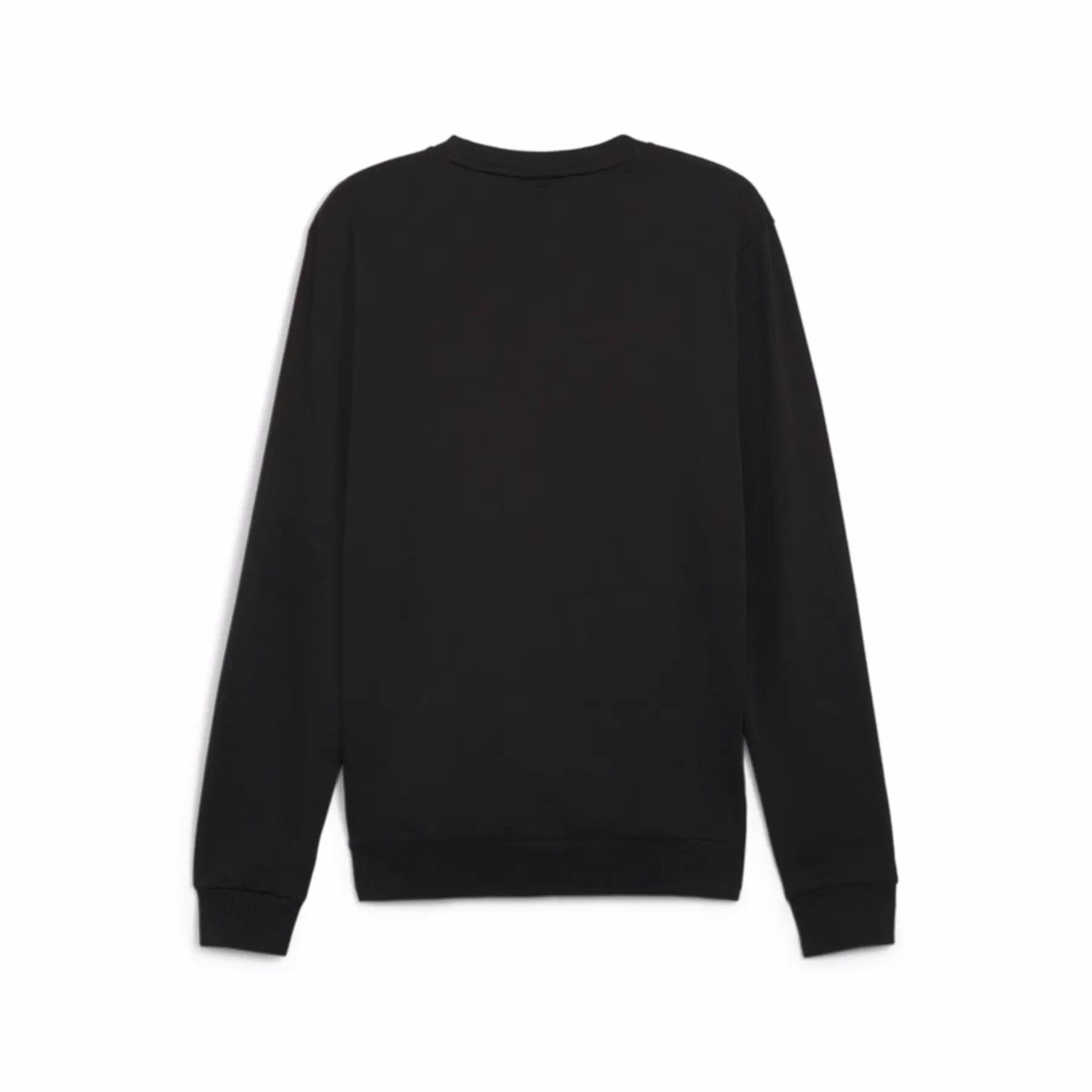 Pullover Puma teamGoal Casuals 4/7