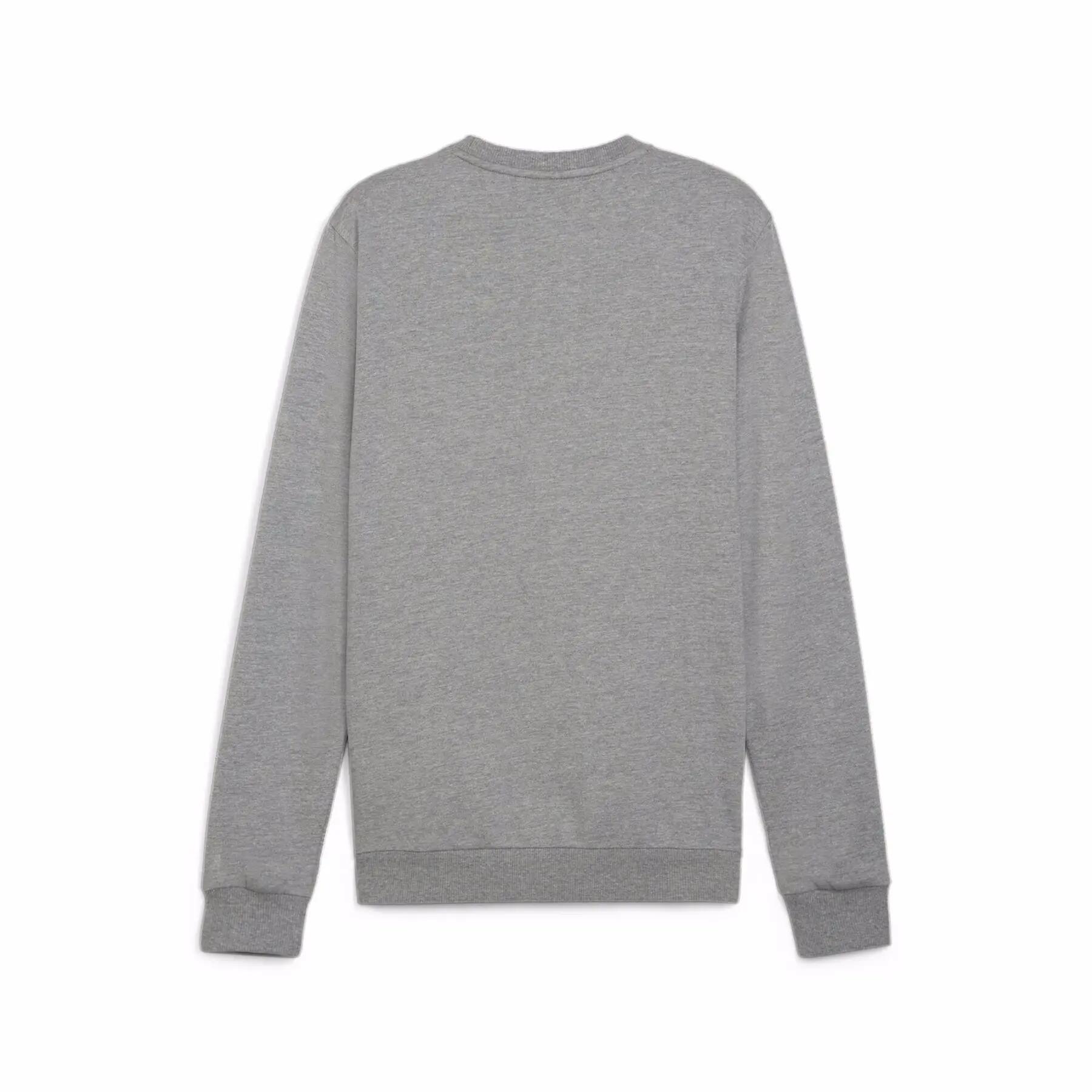 Sweatshirt Puma teamGoal Casuals 4/7