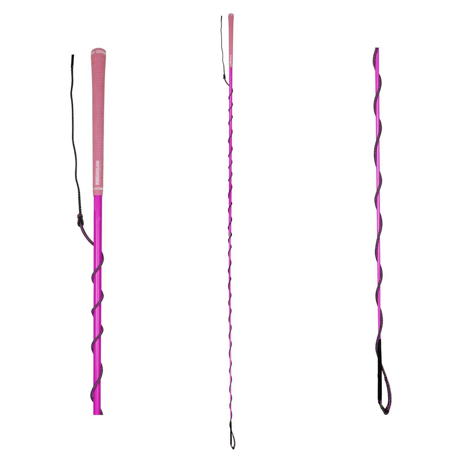 WALDHAUSEN picture