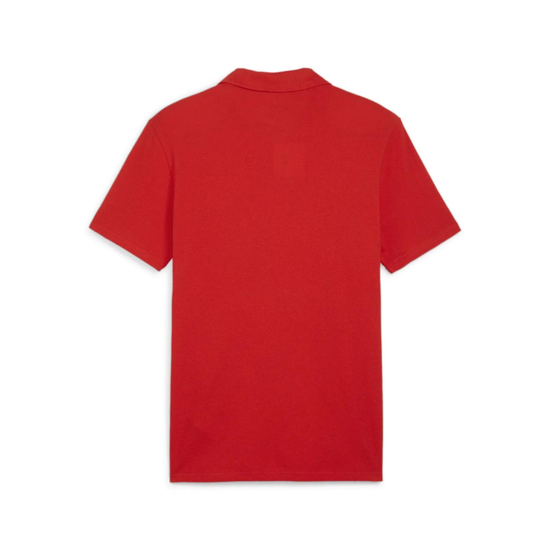 Polo Puma Teamgoal Casuals 2/6