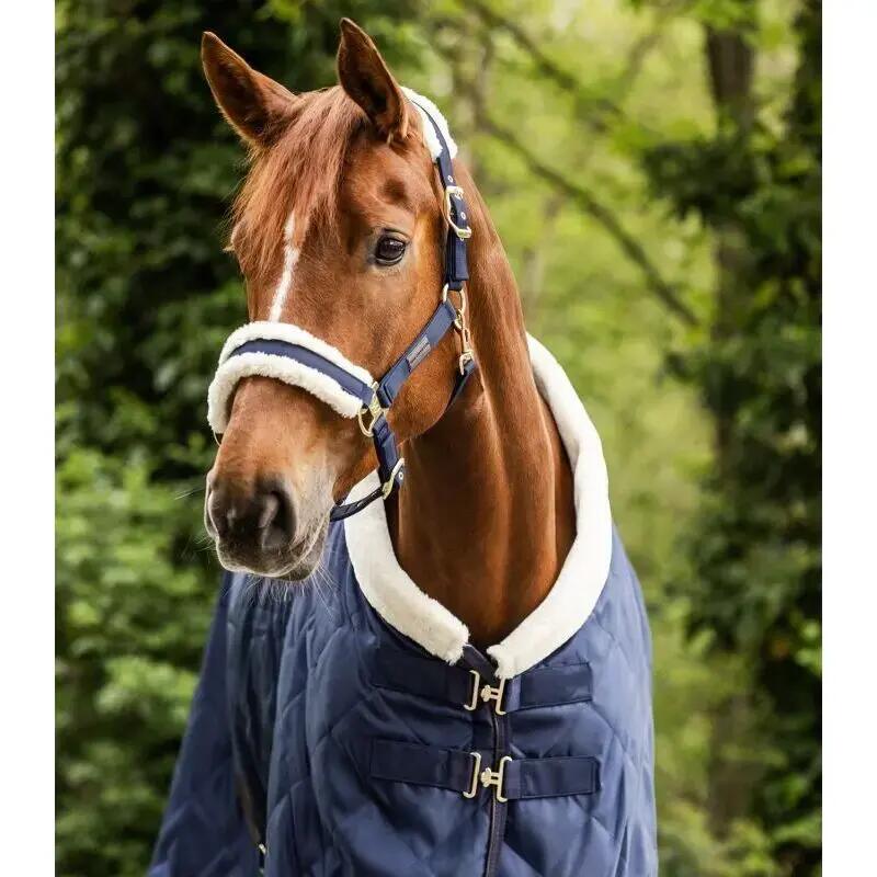 Halsband für Shetland-Ponys mit Fell Waldhausen Exclusive 3/3