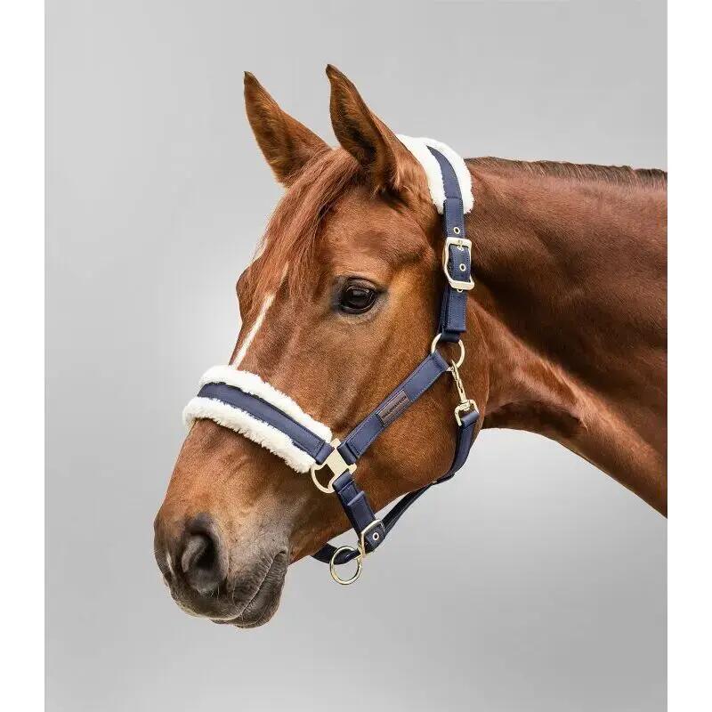 Halsband für Shetland-Ponys mit Fell Waldhausen Exclusive 2/3