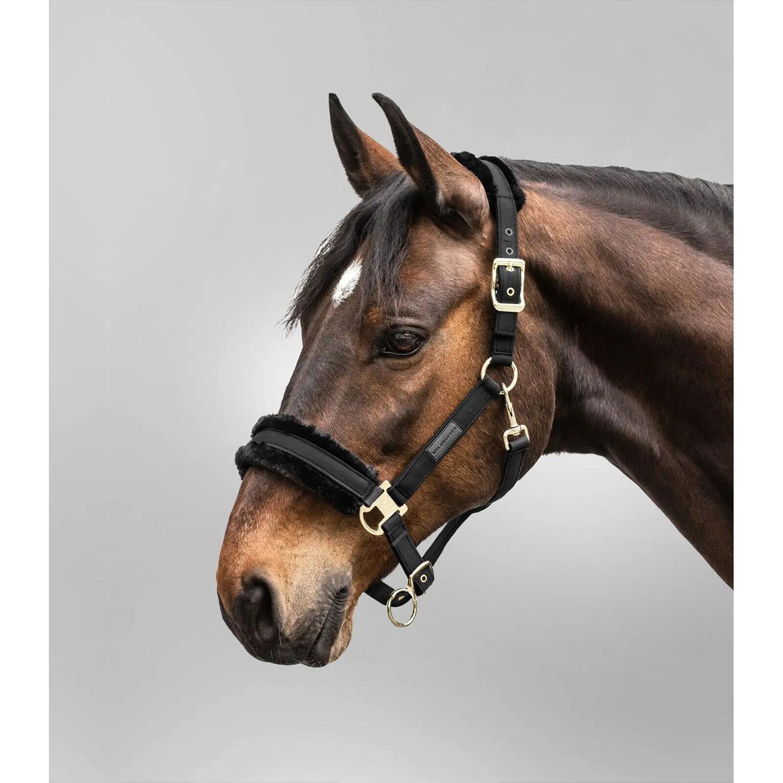 Licol pour cheval avec fourrure Waldhausen Exclusive 2/3
