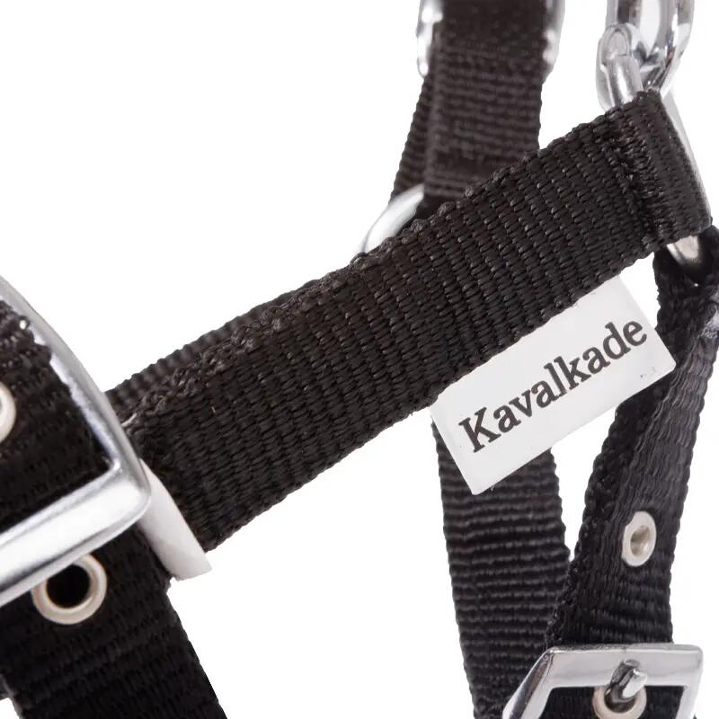 Halster voor veulens en jaarlingen Kavalkade 2/4