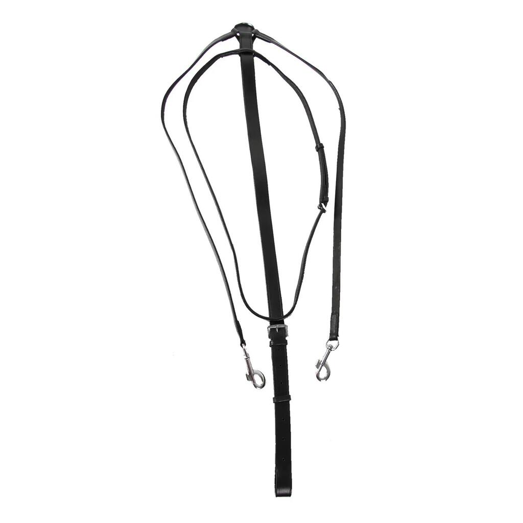 Special pony martingale Star Thiedmann