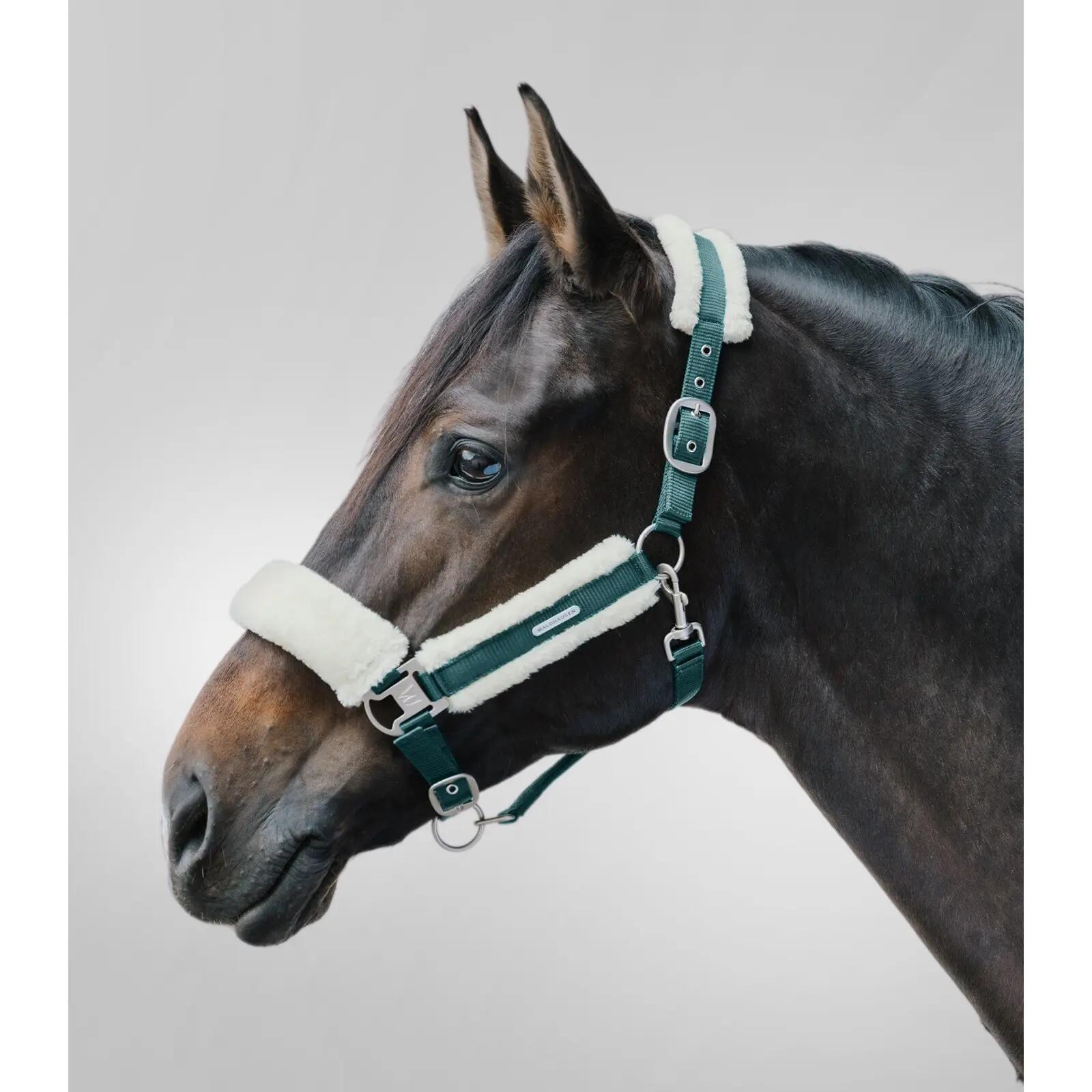 Licol pour cob Waldhausen Soft 2/2