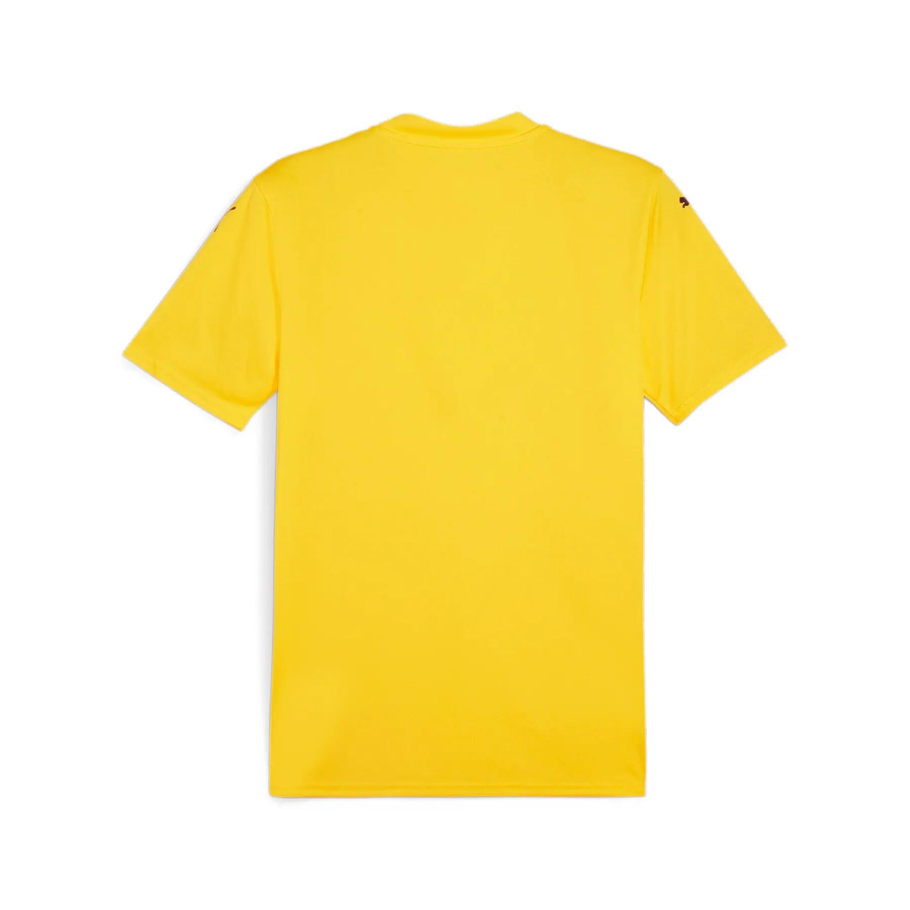 Maillot Puma TeamGlory 2/2