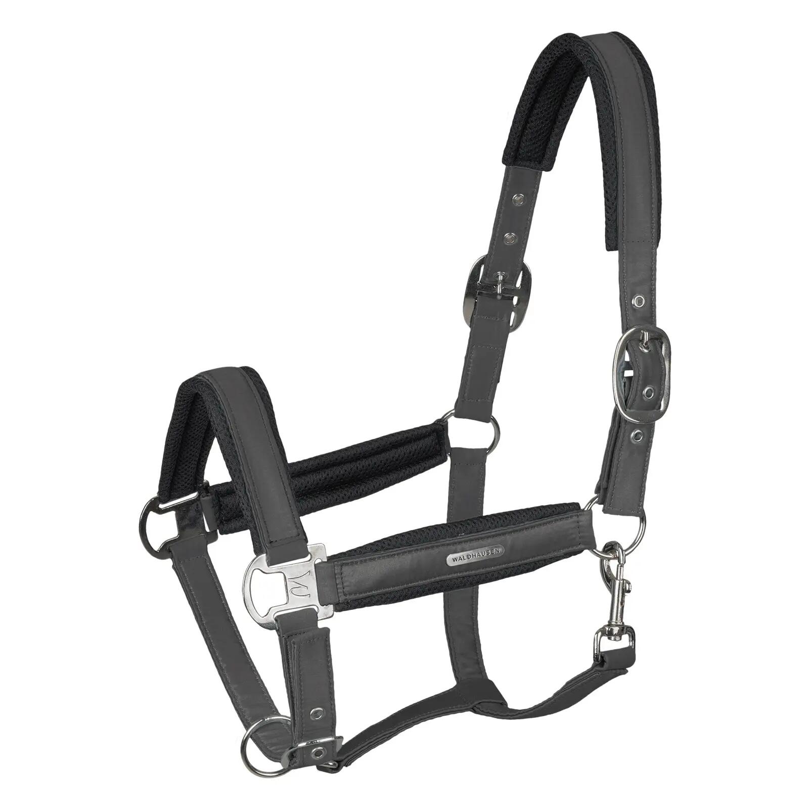 Halfter für Pferd Waldhausen Breath 1/1