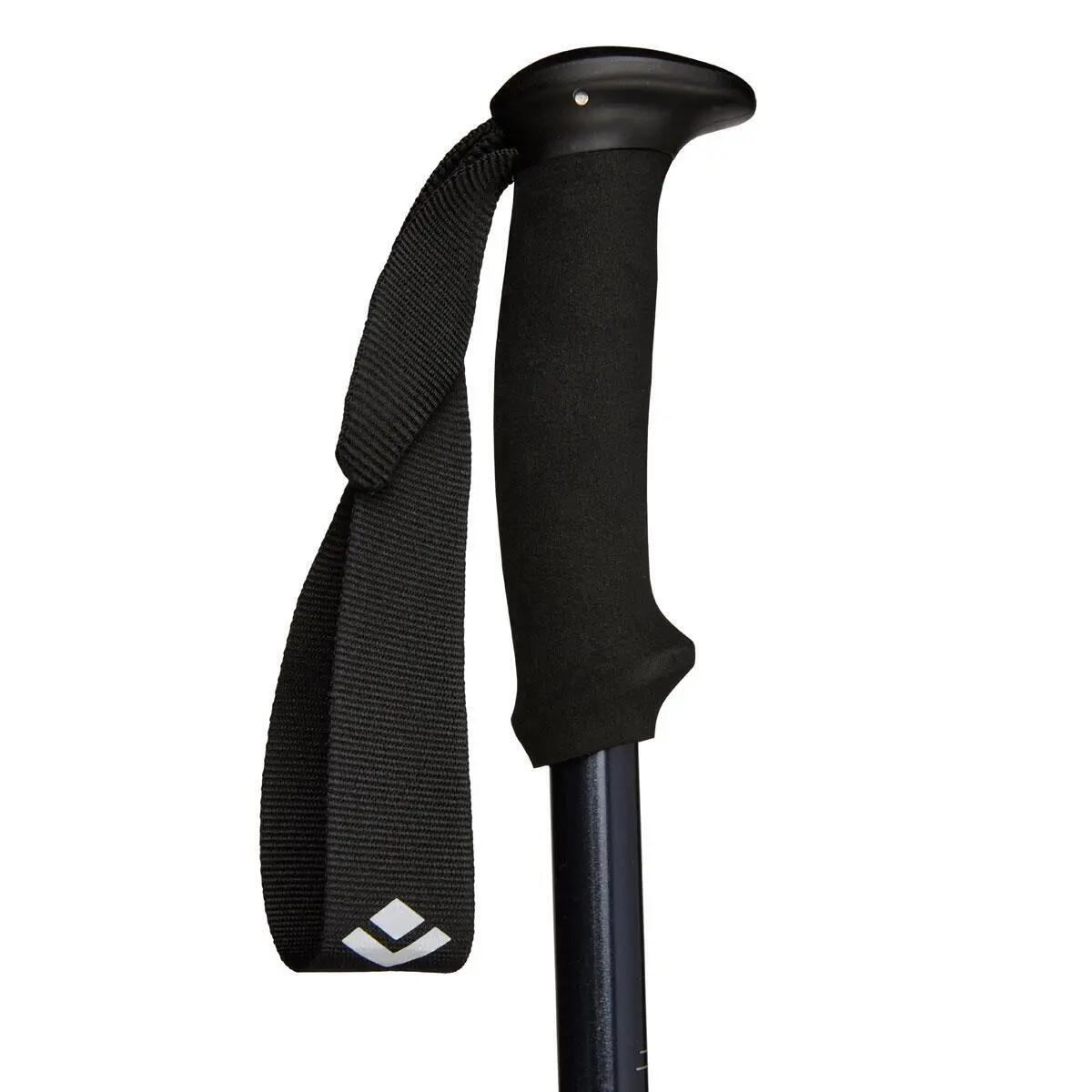 Bastones de trekking Black Diamond Explorer 2 3/4