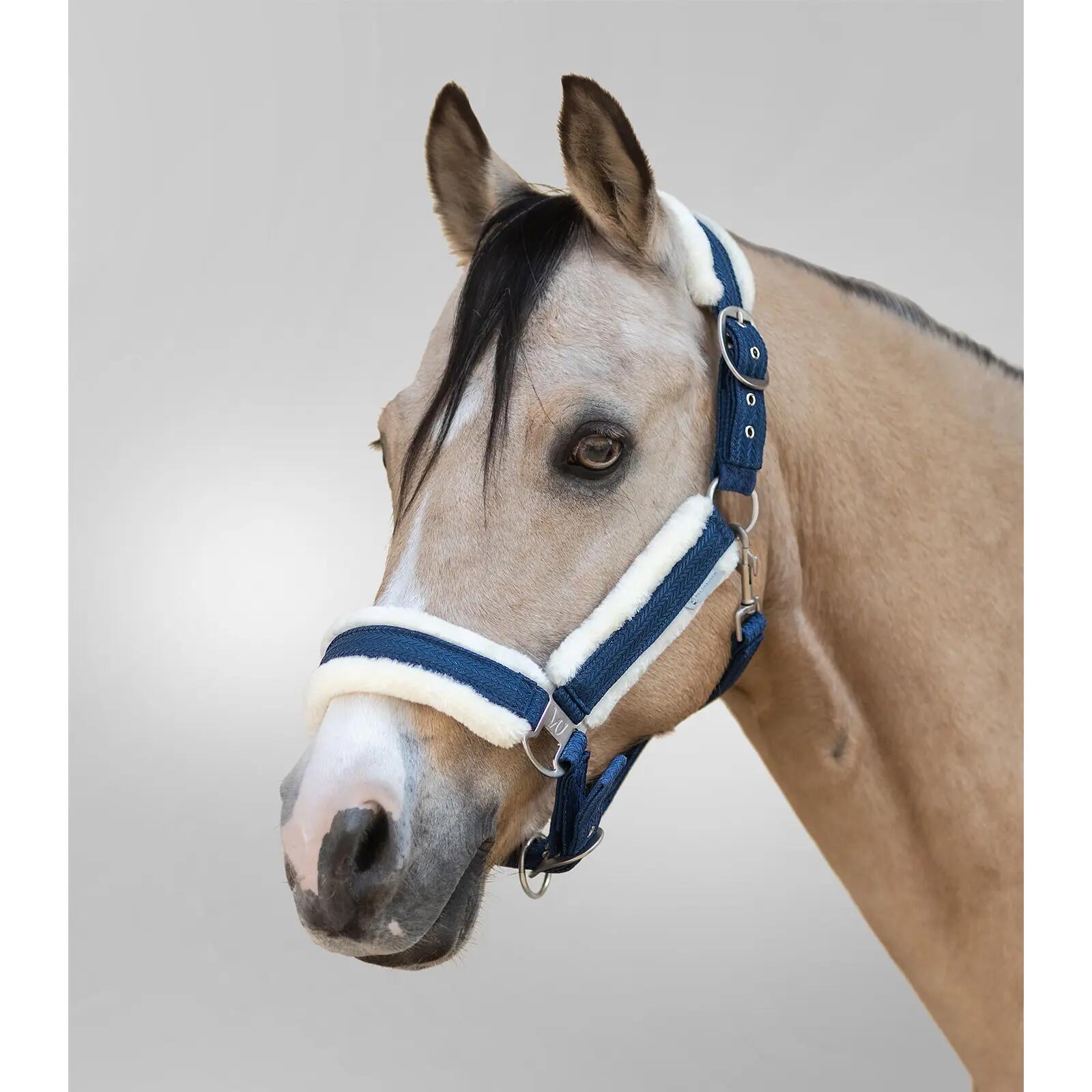 Licol pour poney Waldhausen Sparkle 2/2