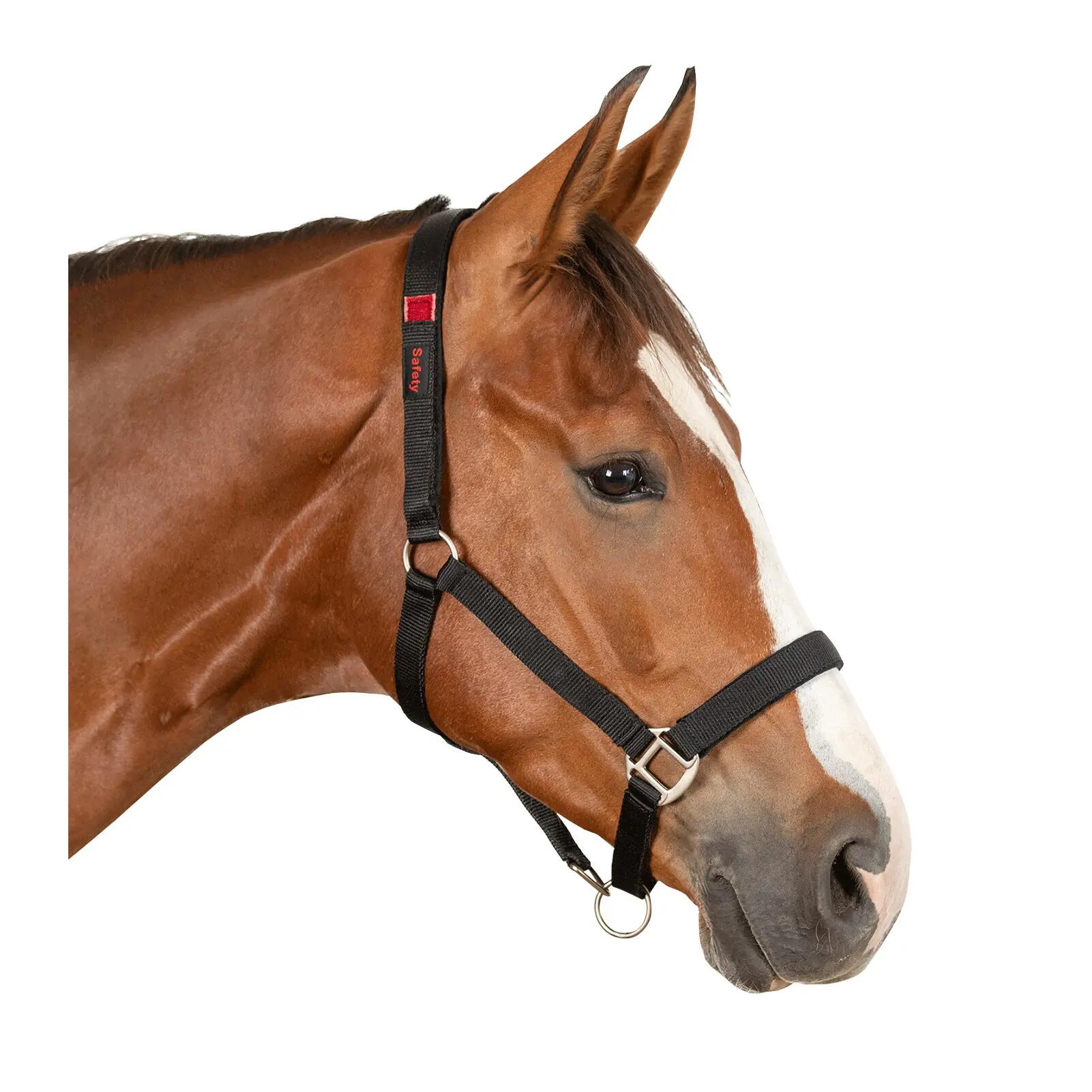 Licol pour cheval en sécurité Waldhausen 2/3