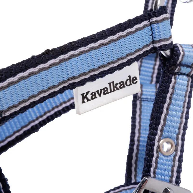 Licol pour poulain et yearling Kavalkade 2/4