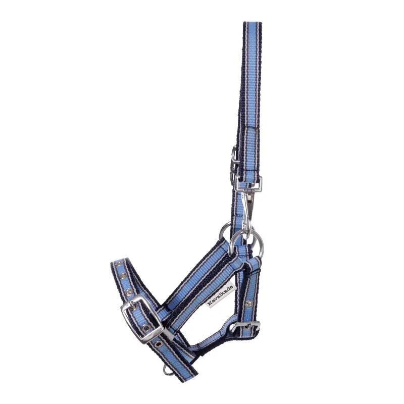 bleu / bleu marine
