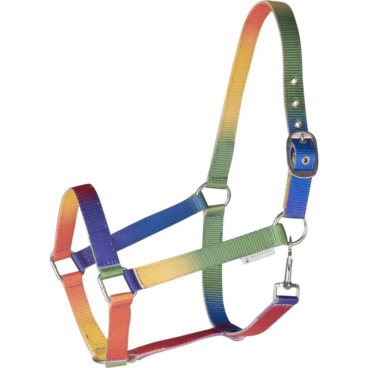 Licol pour Shetland Waldhausen Arc-en-ciel 1/1