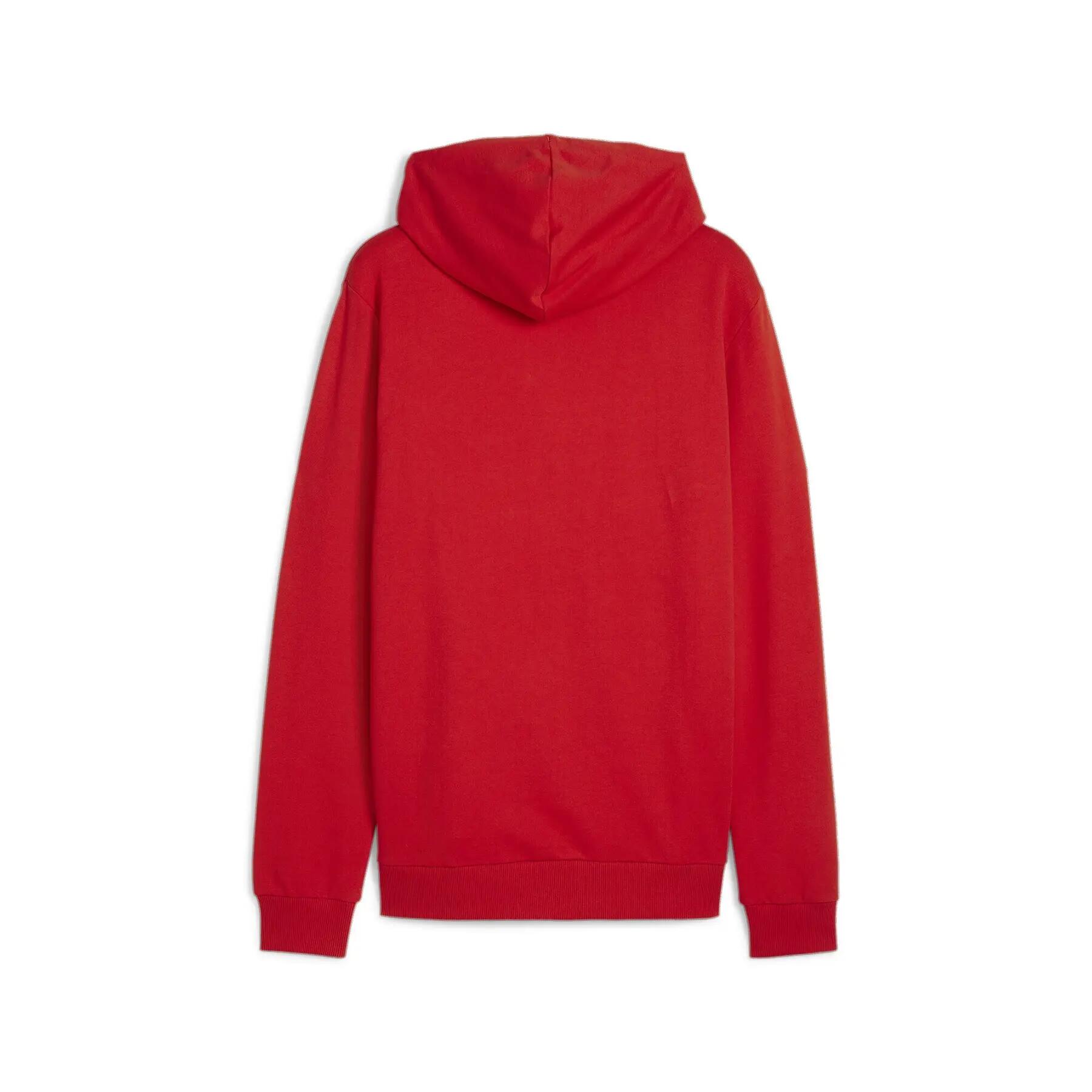 Sweatshirt à capuche Puma Teamgoal Casuals 3/7
