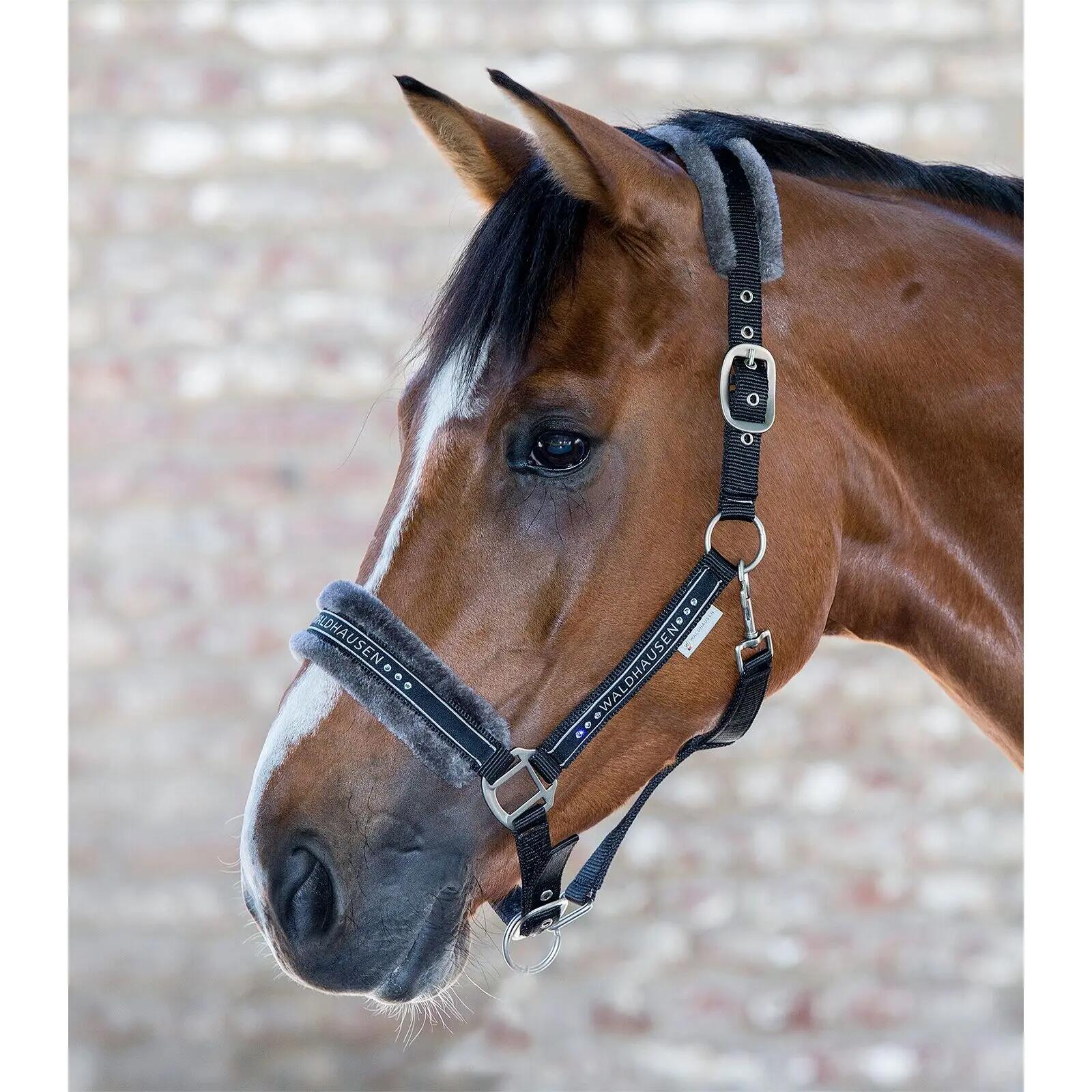 Halsband voor pony met vacht Waldhausen Elegant 2/2