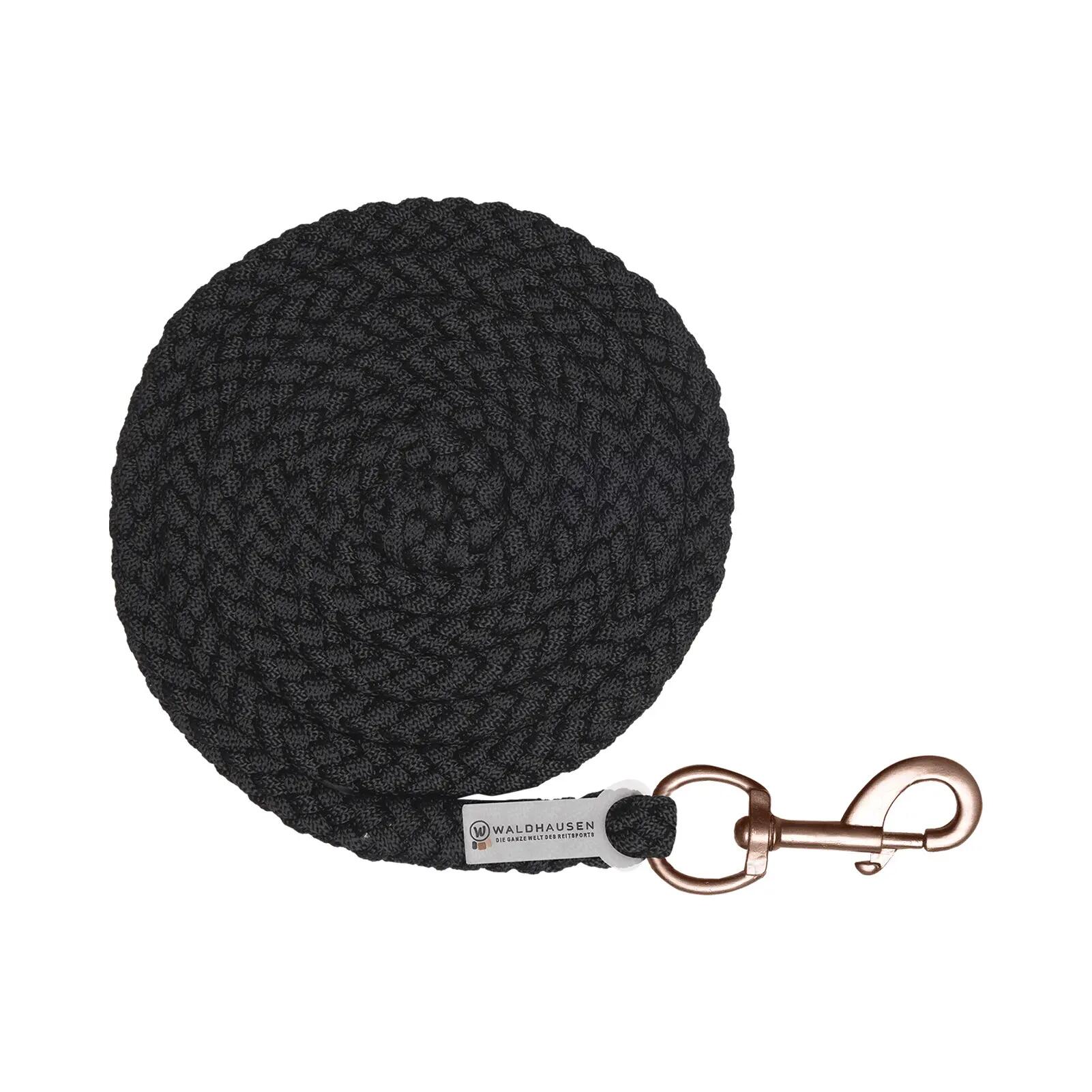 Lunge line with snap hook Waldhausen Shine 1/1
