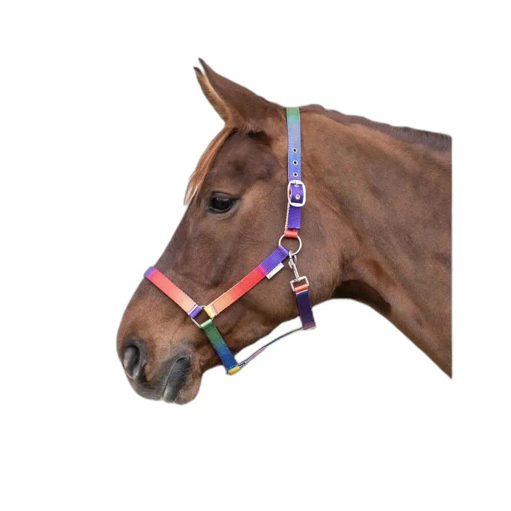 Redine per cavallo VB e WB Waldhausen Arc-en-ciel 2/2