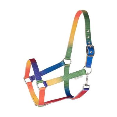 Cavallo per Shetland Waldhausen Arc-en-ciel