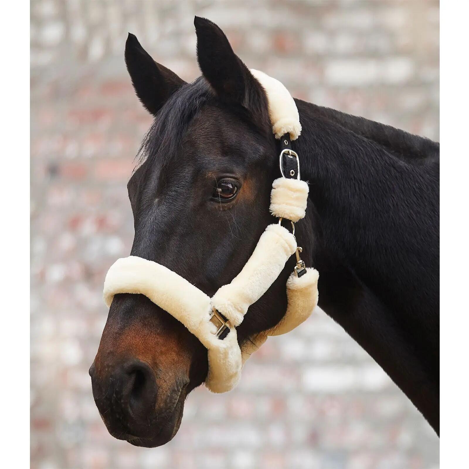 Ponyhalfter mit Fell Waldhausen Cozy 2/2