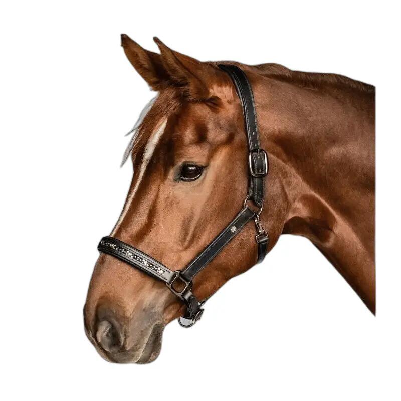Licol pour poney en cuir Waldhausen Crystal 2/4