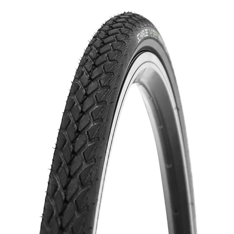 SCHWALBE picture