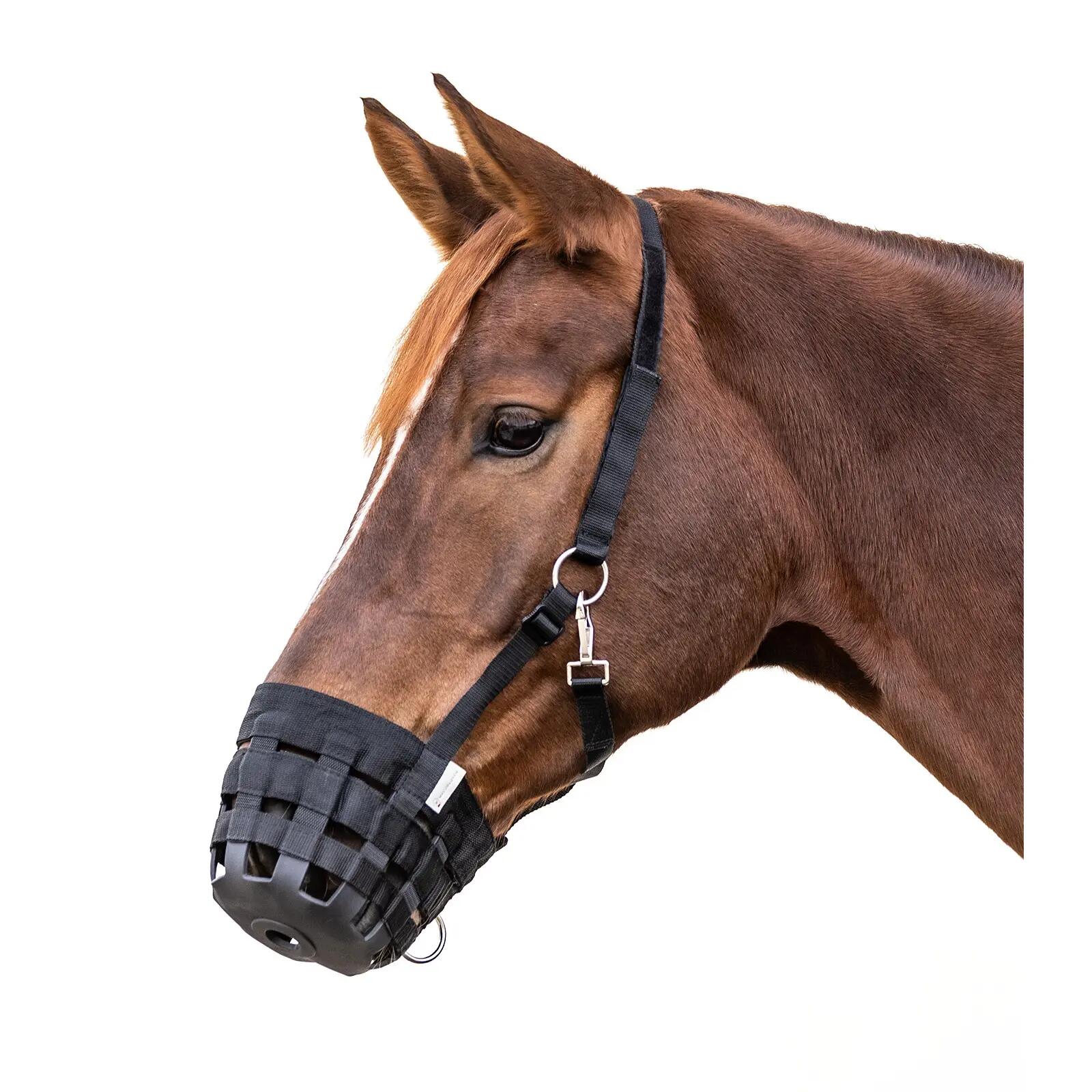 Mousqueton pour Panier AS-DAS PFERD