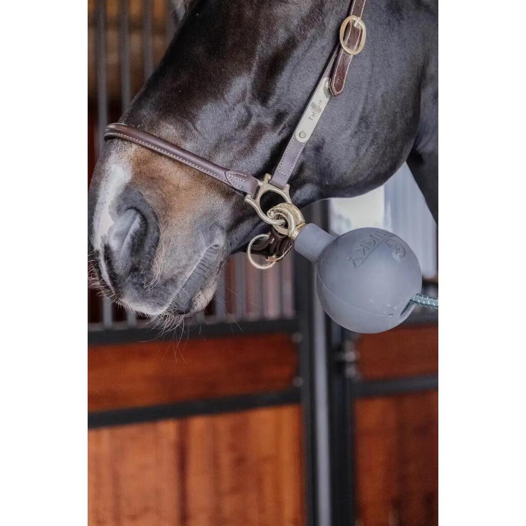 Attachment protection ball Kentucky