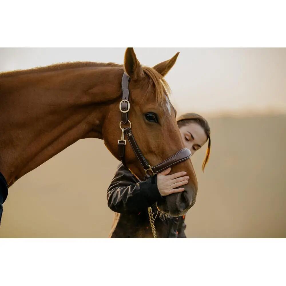 Cabestro de cuero para caballo Dy'on 2/6