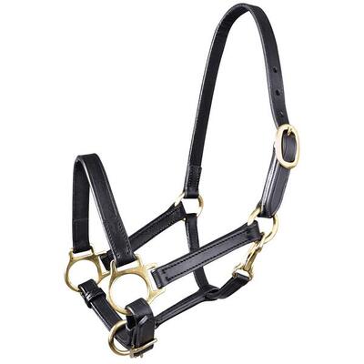 Halster voor paarden star