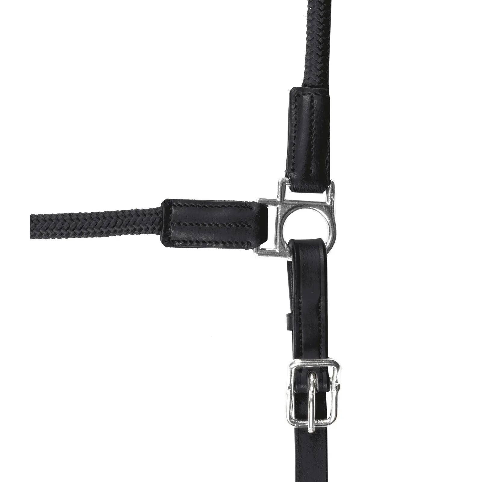 Licol pour cob Waldhausen Nevada 3/3
