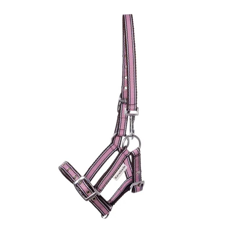 Halter for foals and yearlings Kavalkade
