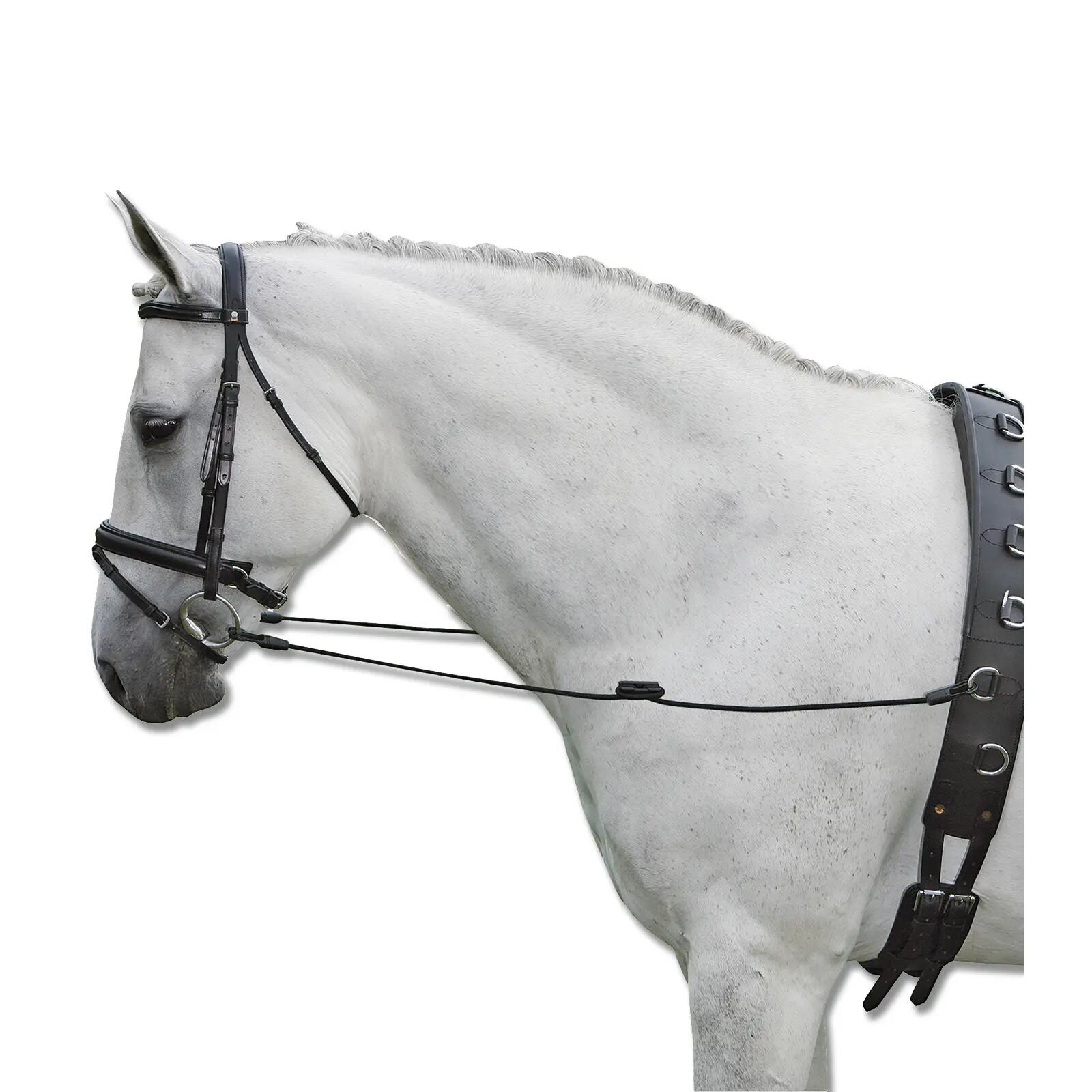 Redini elastici per cavallo Waldhausen 2/2