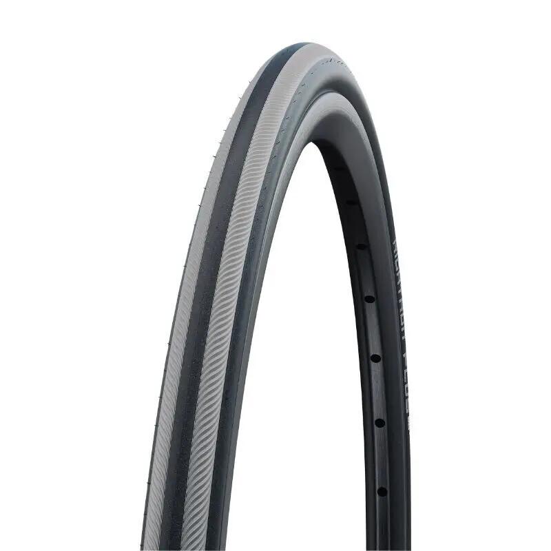 SCHWALBE picture