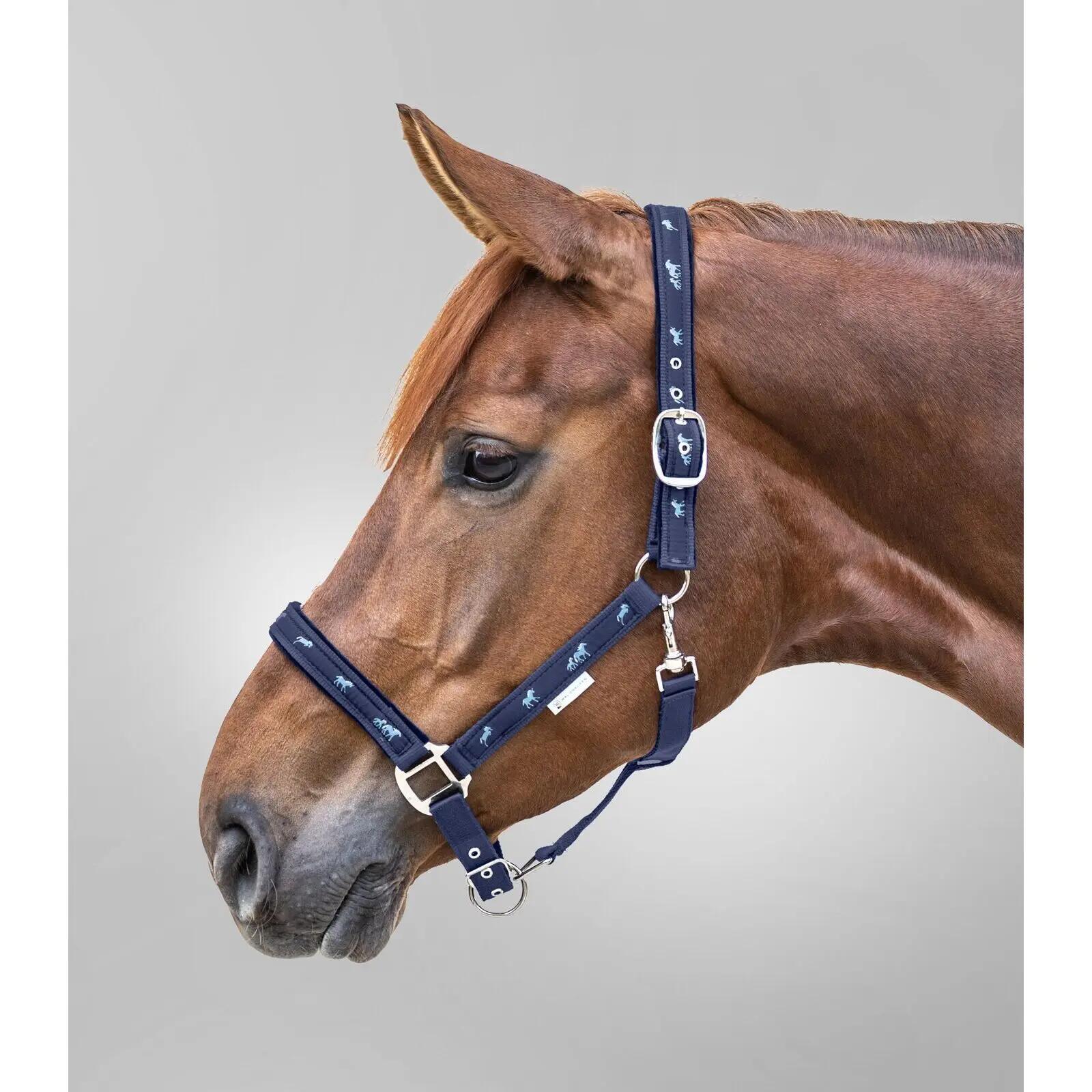 Licol pour cob avec déco petits chevaux Waldhausen 2/2