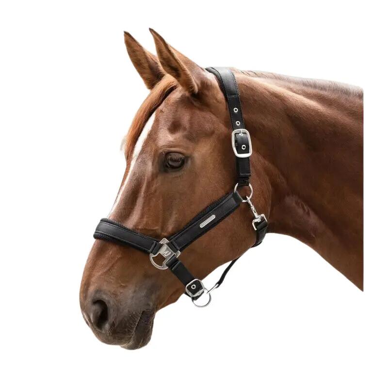 Licol pour cheval Waldhausen Breath 2/2