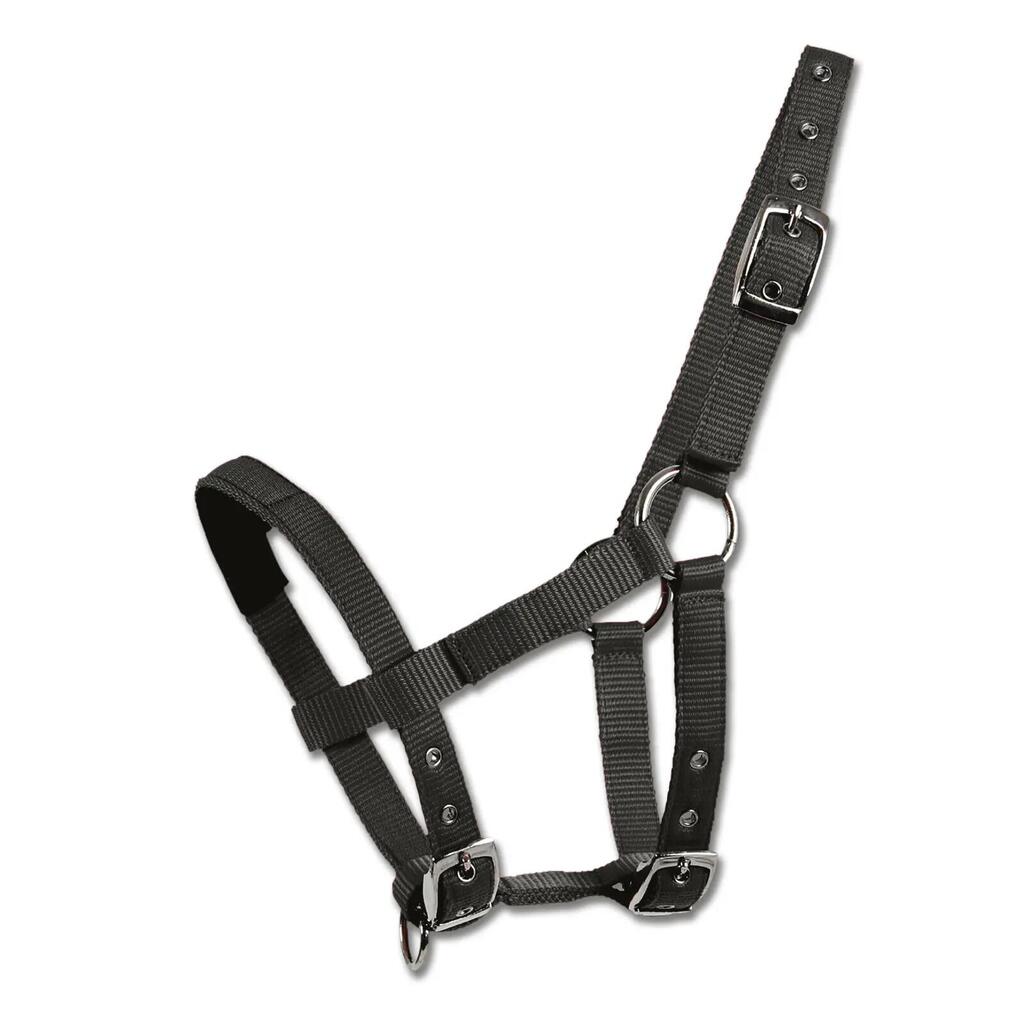 Headcollar for mini-shetland pony Waldhausen