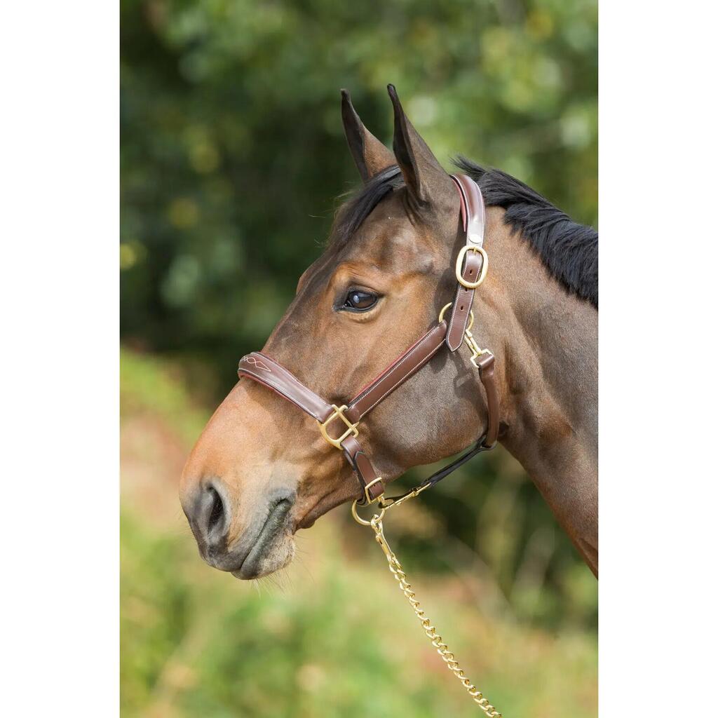 Horse halter HFI X-Full
