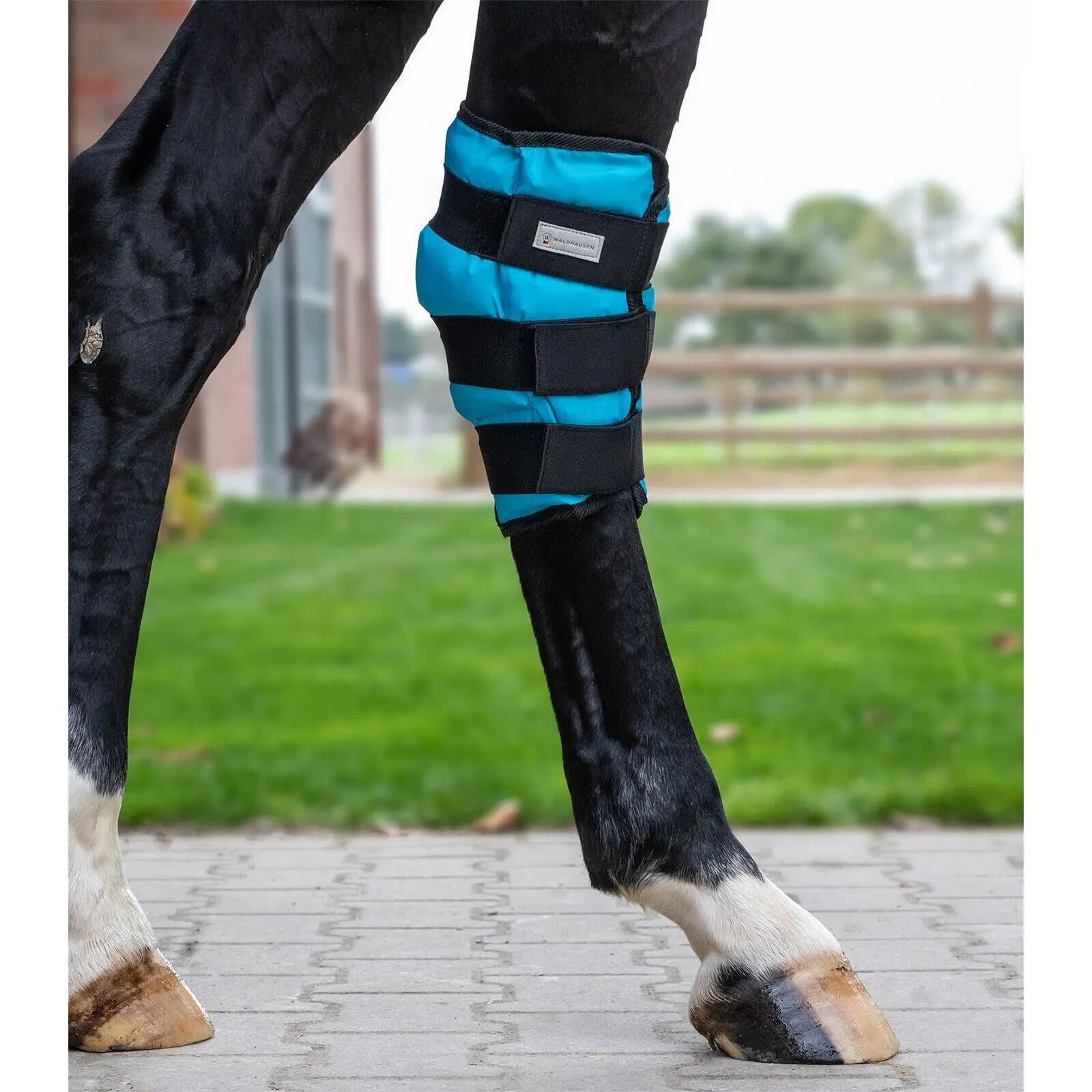 Protector de cañas refrescante para caballo Waldhausen 2/2