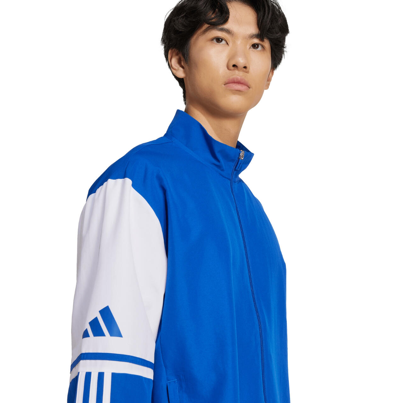 ADIDAS SQUADRA25 Präsentationsjacke für Herren – Team Royal Blau/Weiß 4/6