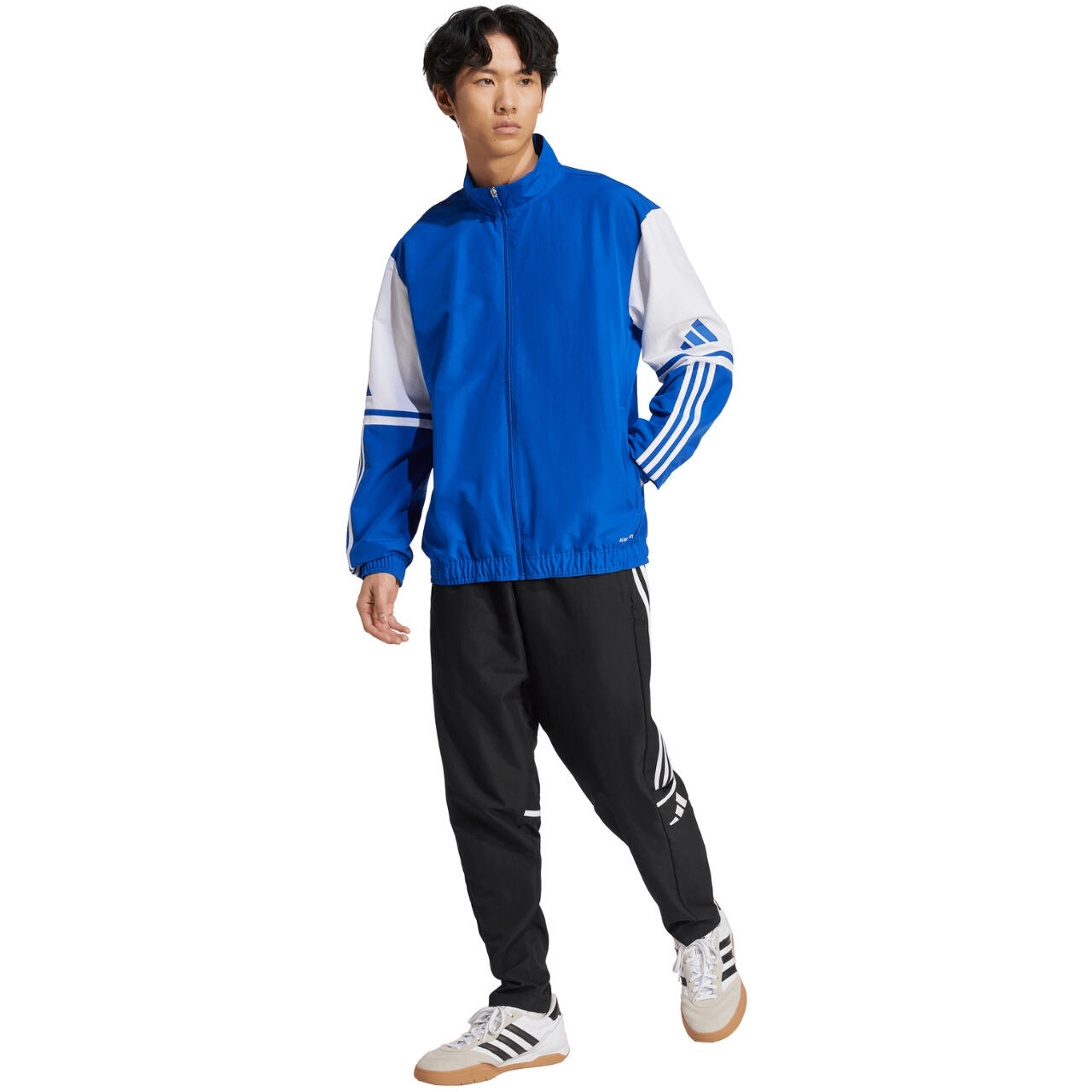 ADIDAS SQUADRA25 Präsentationsjacke für Herren – Team Royal Blau/Weiß 6/6