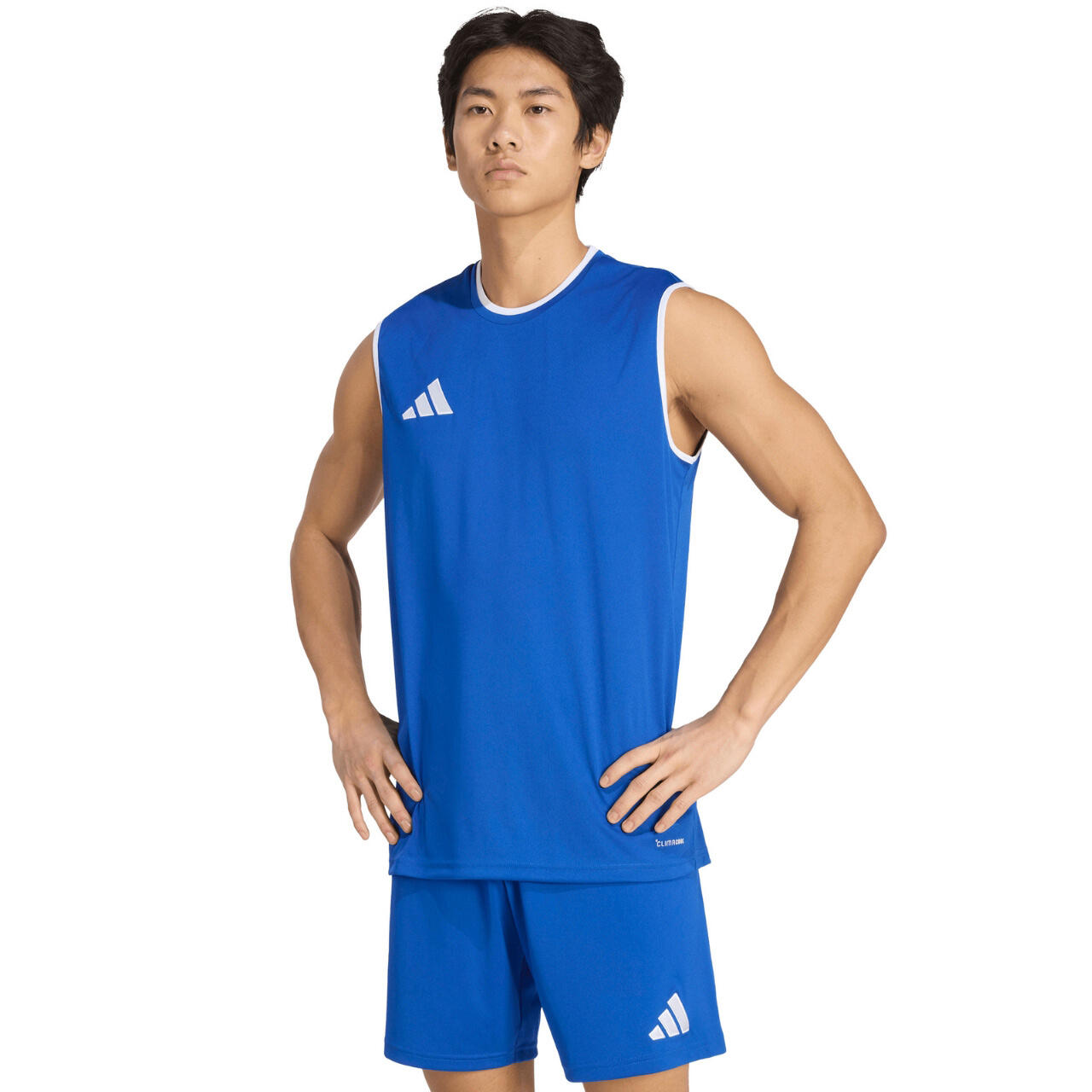 ADIDAS picture